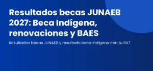 Estudiante consultando el resultado de becas JUNAEB con su RUT