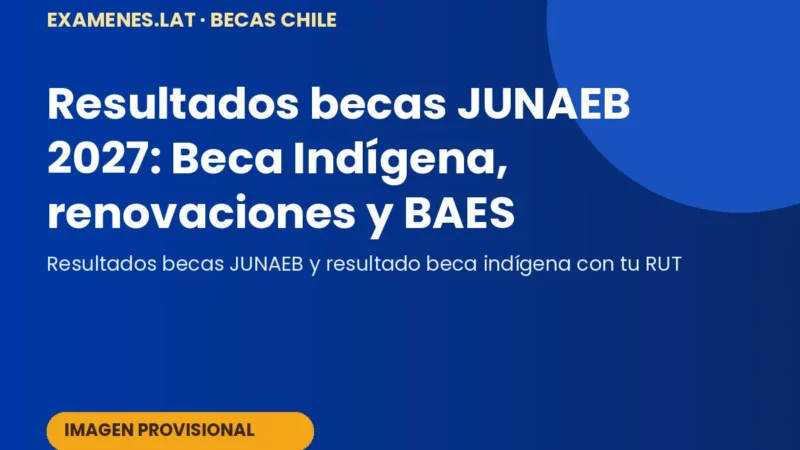 Estudiante consultando el resultado de becas JUNAEB con su RUT