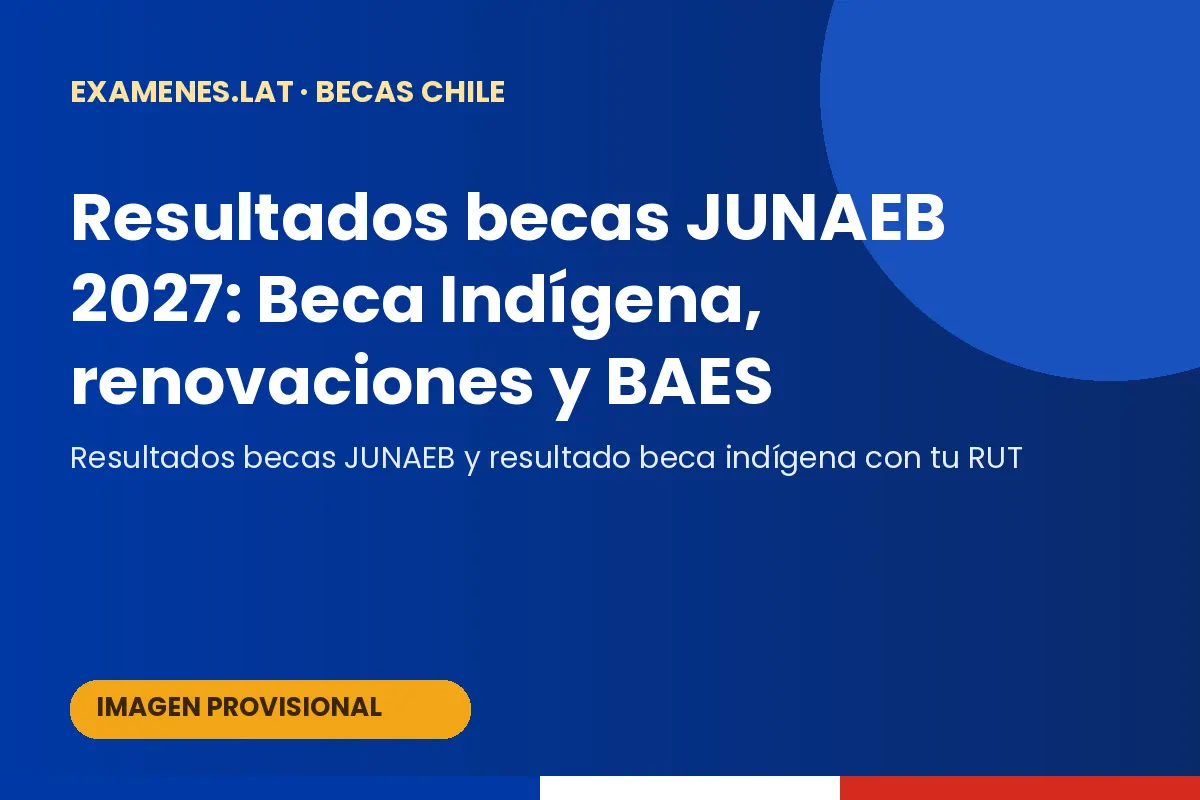 Estudiante consultando el resultado de becas JUNAEB con su RUT