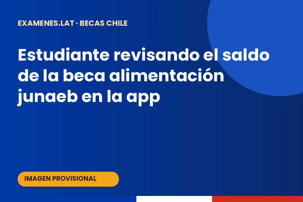 Estudiante revisando el saldo de la beca alimentación junaeb en la app