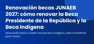 Estudiante universitario que va a renovar la Beca Presidente de la República en el portal JUNAEB