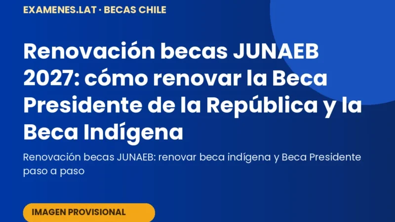 Estudiante universitario que va a renovar la Beca Presidente de la República en el portal JUNAEB