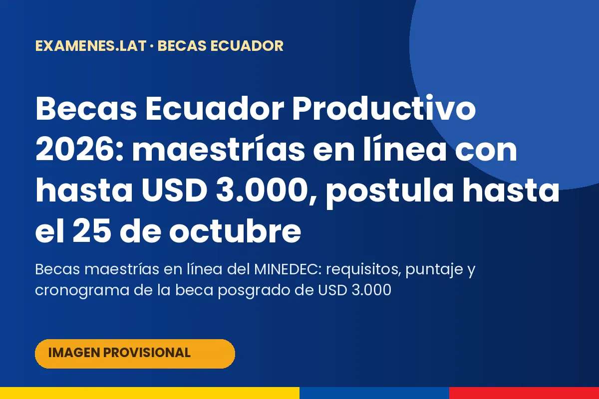 Profesional ecuatoriano postulando a una beca de maestría en línea